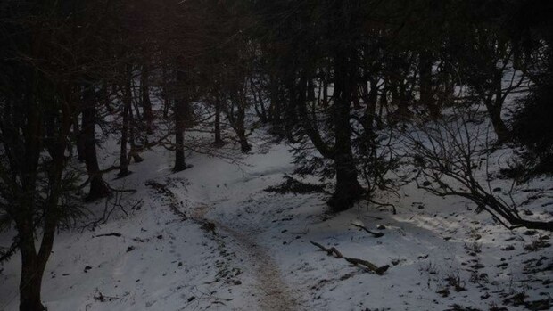 ある日の登山で(画像はphotoAC)