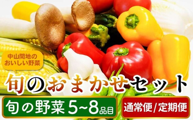 徳島県 三好市「農家直送 野菜詰め合わせ 5～8品目 80サイズ」9000円（ふるさとチョイスより）