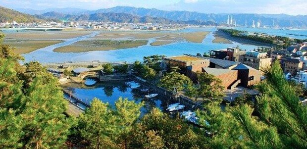 国名勝に指定されている和歌の浦の干潟(画像はプレスリリースより)