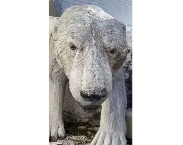 うわぁぁ!?(画像はれお@oreo_415_さんの投稿より、編集部でトリミング)