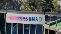【恐怖映像】絶叫必至…静岡・日本平動物園の〝アザラシ体験〟【閲覧注意】