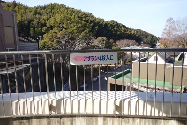 「アザラシ体験」コーナー看板(写真提供:静岡市立日本平動物園)