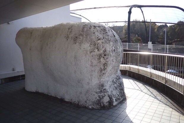 「アザラシ体験」コーナー外観(写真提供:静岡市立日本平動物園)