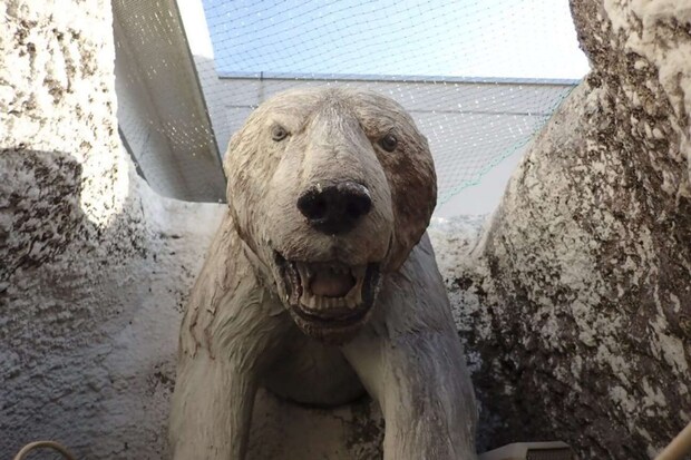 迫力満点だ(写真提供:静岡市立日本平動物園)