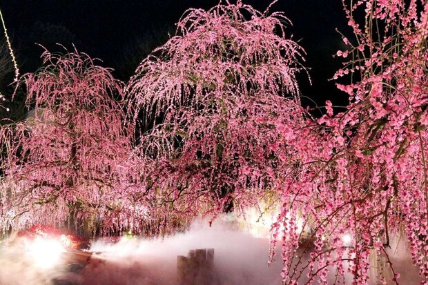 園内にはミスト(霧)による演出も。夜や雨の日は霧が広がりやすく撮影のチャンス(2025年撮影、プレスリリースより)