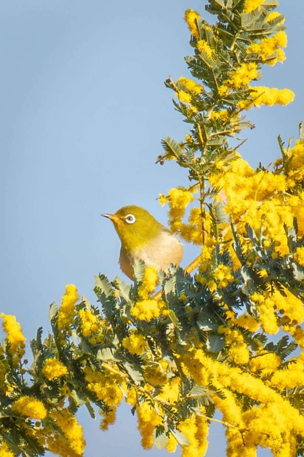 よしと(@yoshito_photo1)さんの投稿より