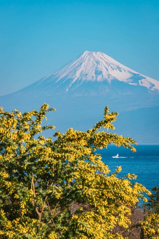 よしと(@yoshito_photo1)さん提供