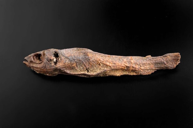 「魚のミイラ」（写真提供：古代エジプト美術館）