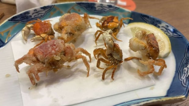 たびぼっち（＠bOTCHMEN1986）さんの投稿より