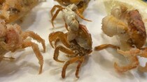 「こわい」「今にも動きそう」　福井の居酒屋で出てきた「カニの唐揚げ」に3.7万人驚がく