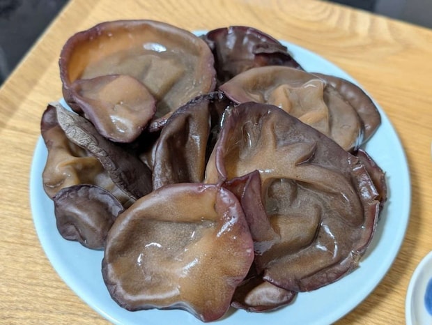 生きくらげ（画像はまつじ＠matsujun5213さんの投稿より）