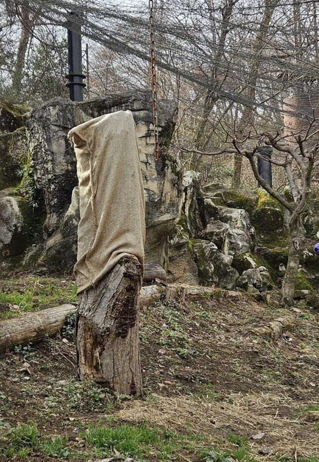 どこ？（写真提供：（公財）東京動物園協会）