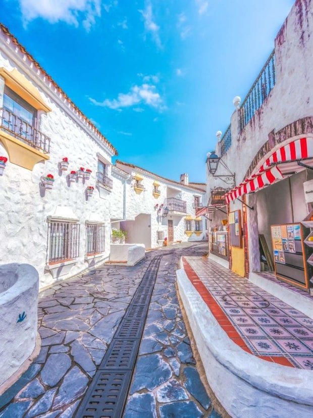 「めかぶ」さん(@aybena)の投稿より