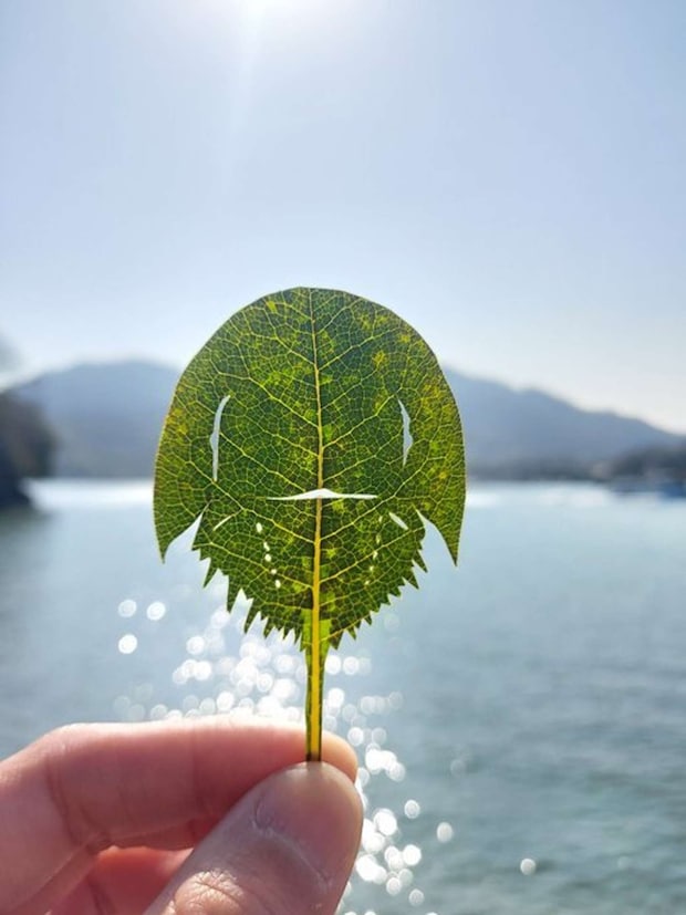 笠岡市立カブトガニ博物館【公式】(@horseshoecrab_m)の投稿より