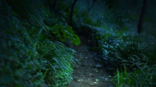 肝試しの夜に（画像はphotoACより、イメージ）