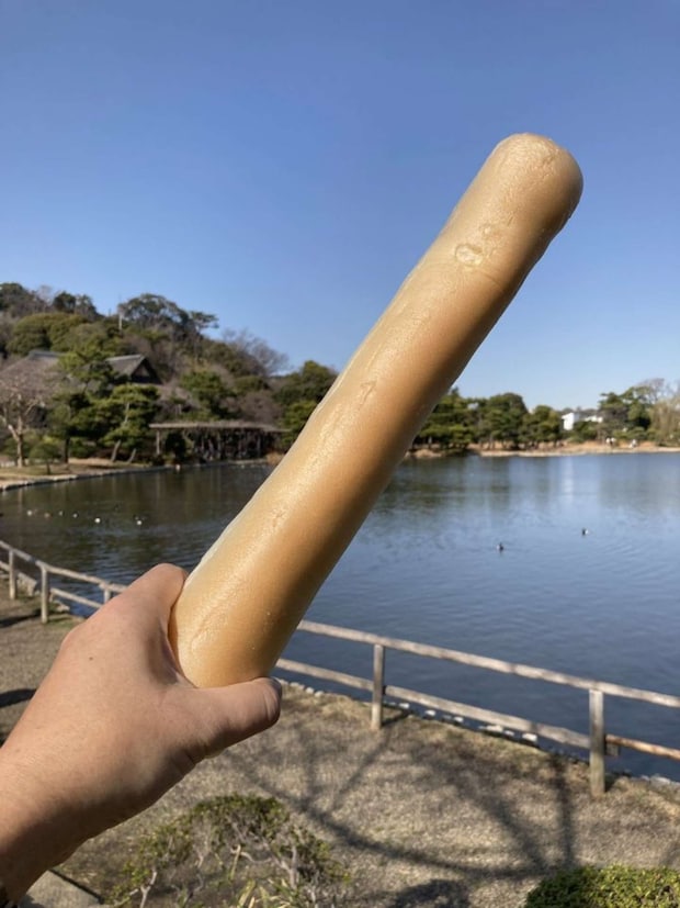 長い棒...？（画像はトゥ・レイン・スワロー＠to_rain_swallowさんの投稿より）