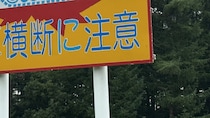 「さすが北海道」としか言えない　同じ場所に立つ〝横断注意看板〟2種に1.7万人驚がく「野生のおるんやな」