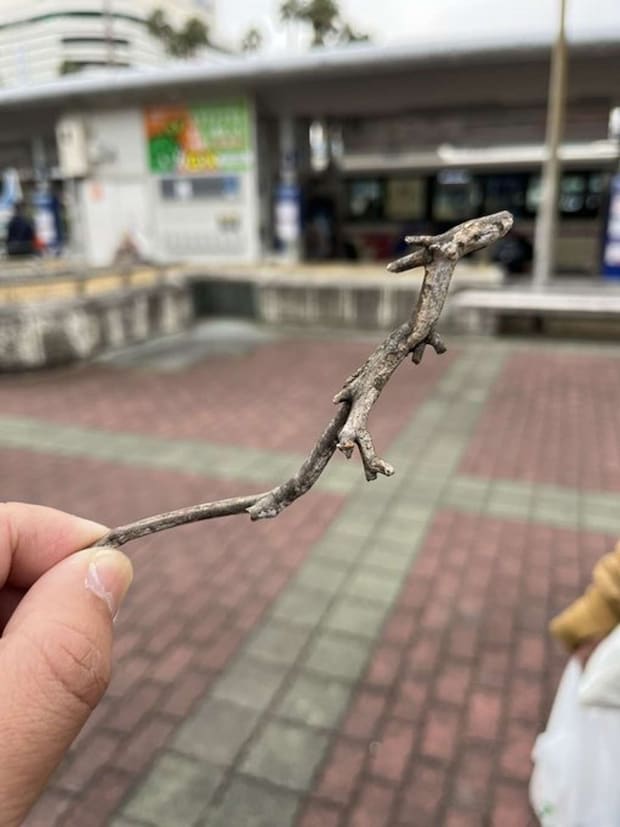 徳島求人情報 QSTYLEの公式Xアカウント（＠Qstyle_koshiki）の投稿より