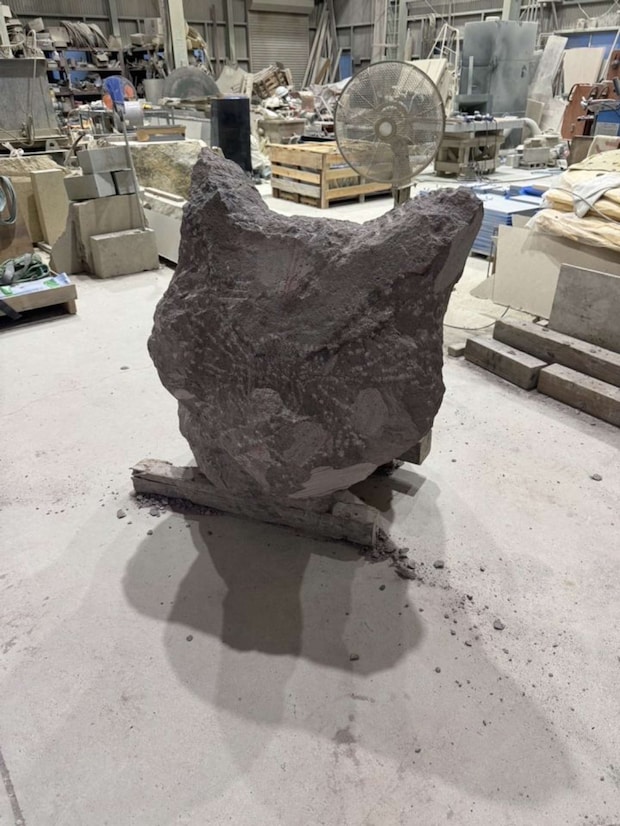 制作現場の様子(画像提供:ねこ家)