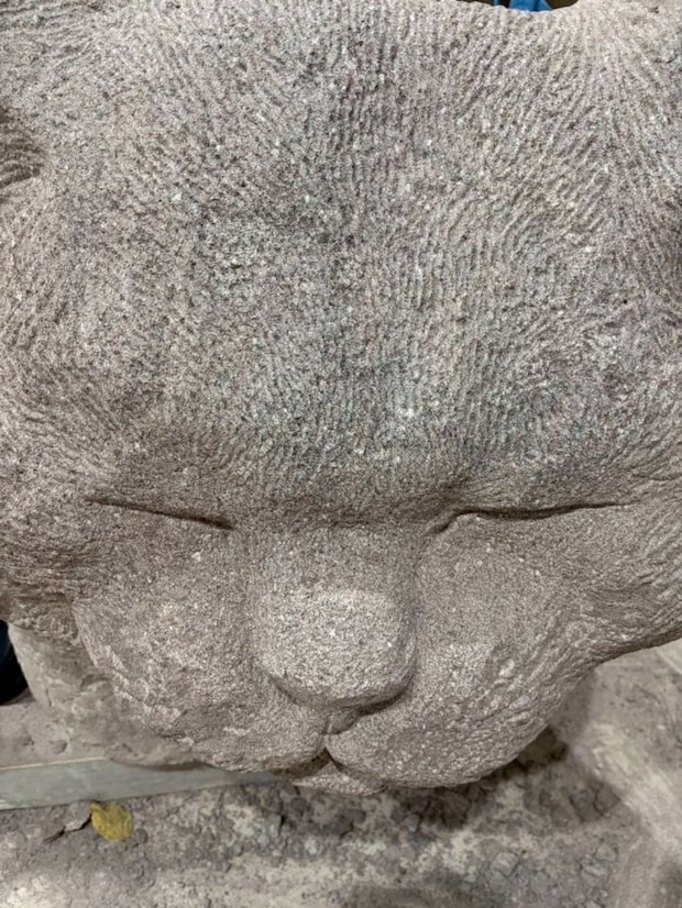 リアルな表情(画像提供:ねこ家)