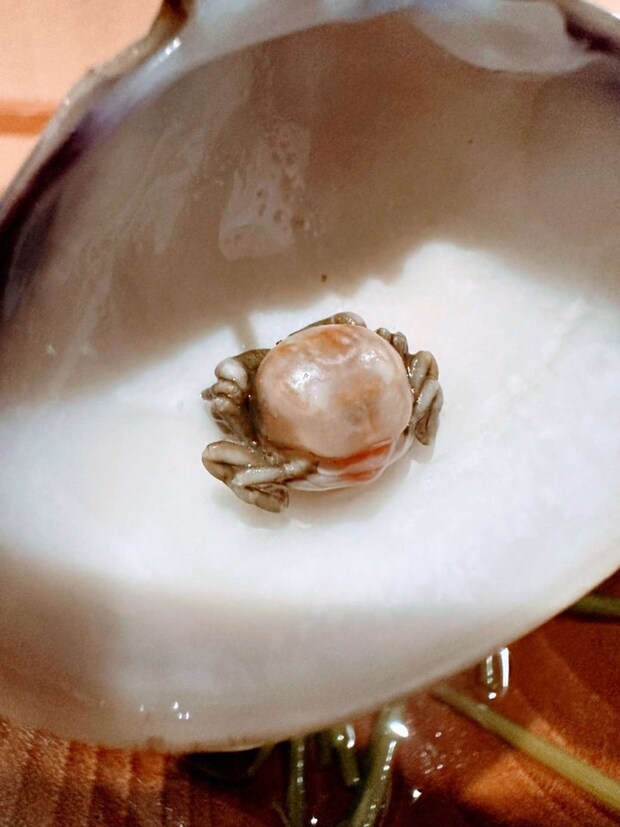 ちょっとびっくり（画像はゆかりちゃん＠yukaric03886076さんの投稿より、再掲）