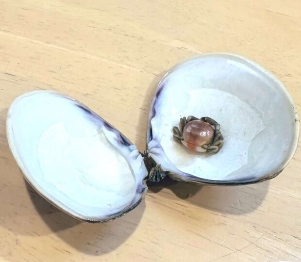 この後埋葬された（画像はゆかりちゃん＠yukaric03886076さんの投稿より）