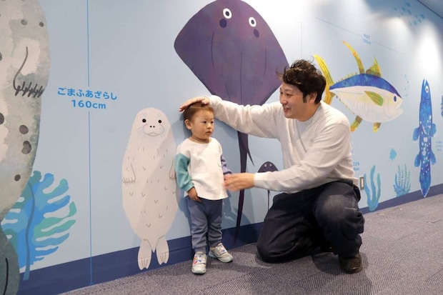 ゴマフアザラシの子どもと背比べ