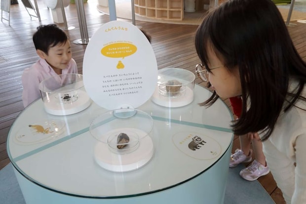 展示されるうんちは日によって変わる