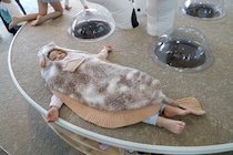 かわいい我が子がヒラメに変身！？　「アクアマリンふくしま」の生まれ変わった子供コーナーがめっちゃイイ