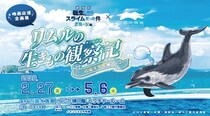 転スラ映画『蒼海の涙編』×四国水族館がコラボ中　キャラクターの特徴と水生生物の生態を重ね合わせる！？【2／27～5／6】