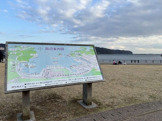 海が目の前。下田らしい景色が広がる
