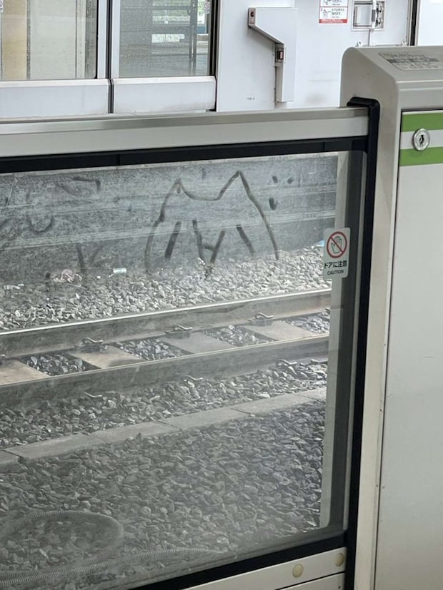 画像はぐま(@gumaguma228)さんの投稿より、再掲