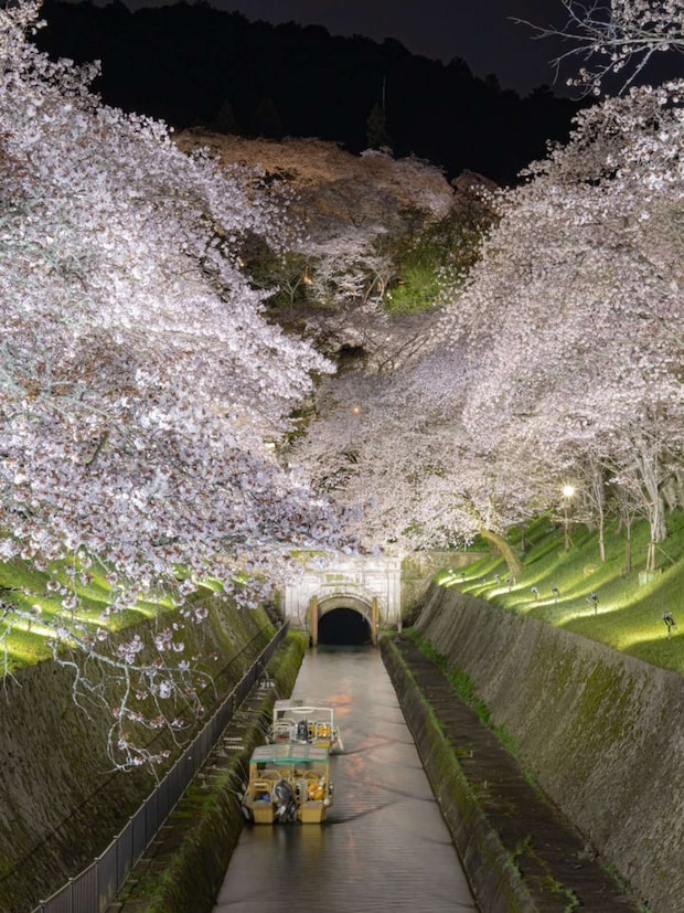 画像提供：（公社）びわ湖大津観光協会