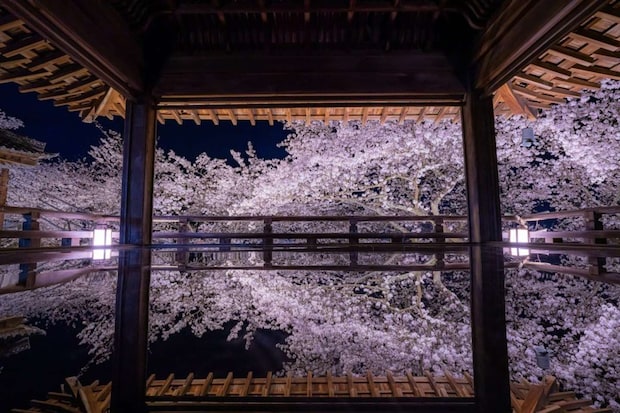 画像提供：（公社）びわ湖大津観光協会