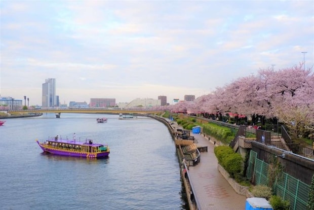 下町ならではのゆったりとした雰囲気の「隅田公園」(画像はphotoACより)