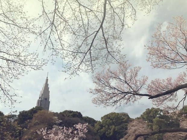 「新宿御苑」は新宿の真ん中とは思えない落ち着いた雰囲気（画像はphotoACより）