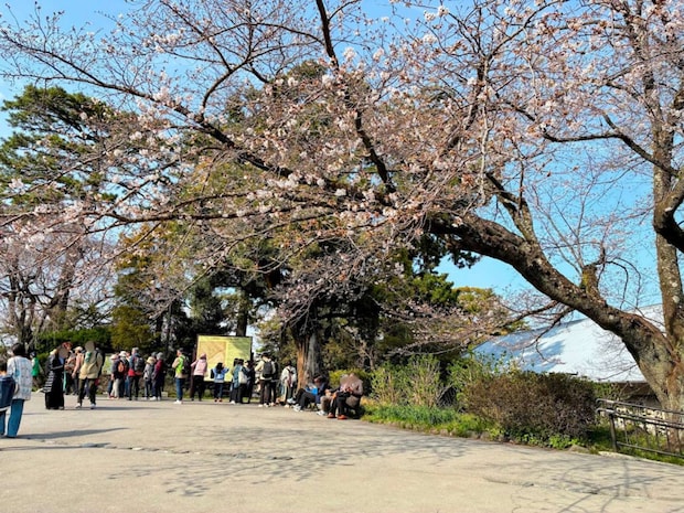 春の陽気たっぷりで心地よい