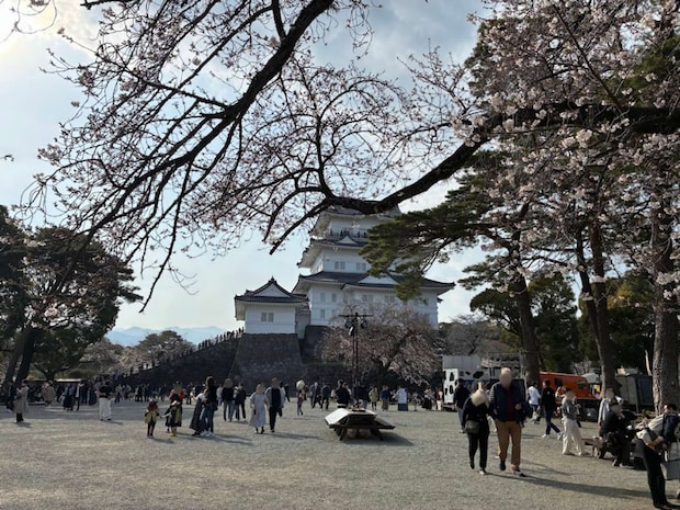 本丸広場もにぎやかな雰囲気