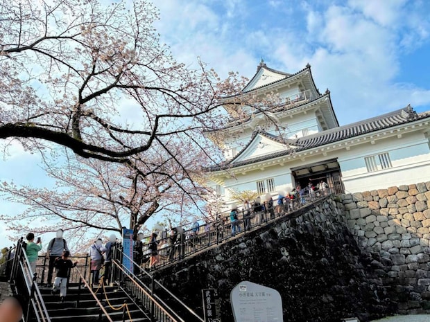 やはり天守閣見学は外せない