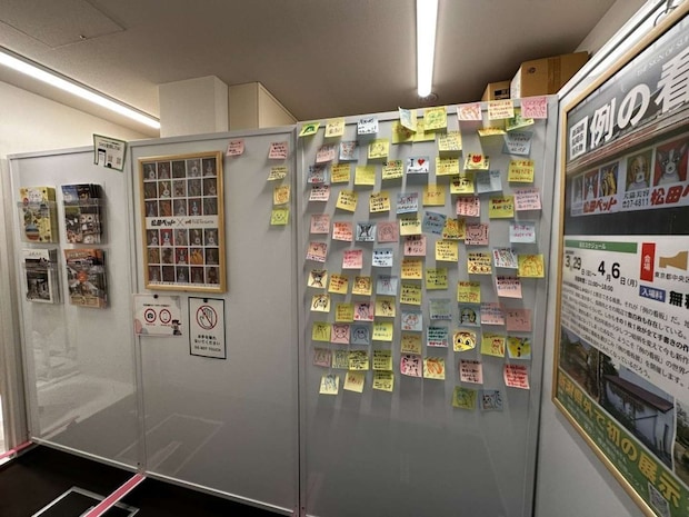 ファンの皆さんからのメッセージ