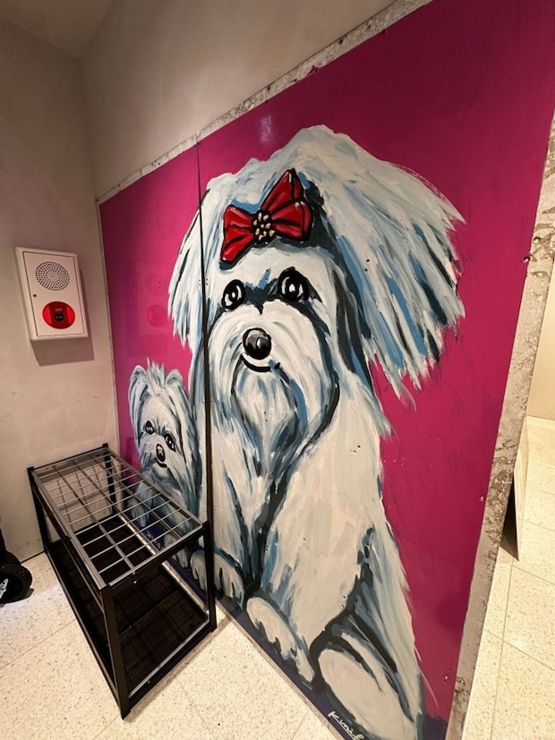 エレベーターのドアが開くと...