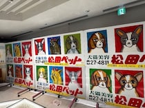 大盛況「例の看板展 in 銀座」3日間で500人を超えた　松田ペット看板の圧倒的魅力を全身で感じる【3／29～4／6】