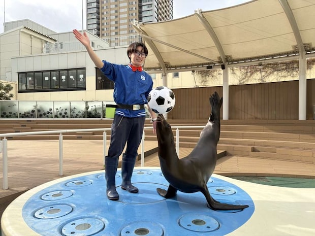 サンシャイン水族館のステージで事件が発生!パフォーマンスで使うサッカーボールが行方不明に・・・!?<br />人気者のアシカと、それを羨ましいと思う飼育スタッフ・・・。アシカは無事にサッカーボールを見つけ出すことはできるのか・・・!?<br />パフォーマンスの前後には江戸川コナンからの特別メッセージも!<br />提供:サンシャインシティ(C)青山剛昌/小学館・読売テレビ・TMS 1996