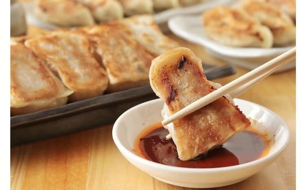 【大阪府堺市】「古墳王餃子」10,000 円(ふるさとチョイスより)