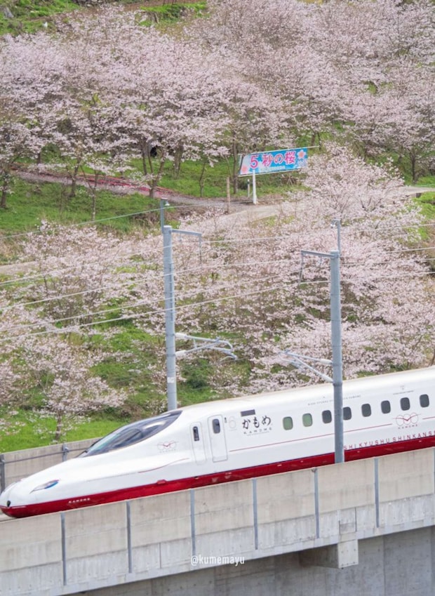 くめ まゆみ(@okaziya)さんの投稿より