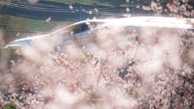 くめ まゆみ(@okaziya)さんの投稿より