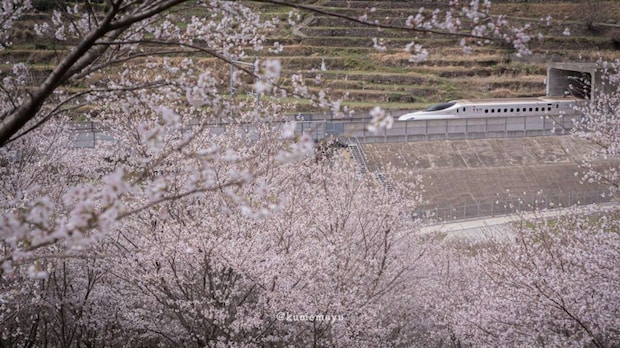くめ まゆみ(@okaziya)さんの投稿より
