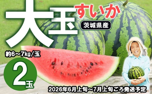 茨城県 下妻市「茨城県産 大玉すいか 2玉セット」13000円（ふるさとチョイスより）