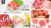 今から準備しとけば間違いナシ！　ふるさとチョイスで人気の【桃】ランキング