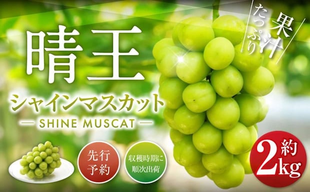 岡山県 美咲町「シャインマスカット 晴王 2kg」23000円（ふるさとチョイスより）